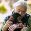 jane-goodall