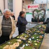 gobe, razstava, novo-mesto