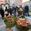 gobe, razstava, novo-mesto
