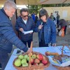 obcina-razkrizje, obcina-strigova, hrana, kulinarika