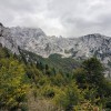 strelovec, planinski-izlet