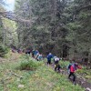strelovec, planinski-izlet