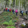 strelovec, planinski-izlet