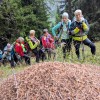 strelovec, planinski-izlet
