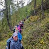strelovec, planinski-izlet