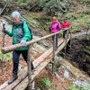 strelovec, planinski-izlet