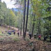 strelovec, planinski-izlet