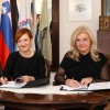 schwentnerjeva-hisa, obcina-vransko, asta-vrecko
