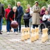 društvo-paraplegikov-prekmurja-in-prlekije, srečanje-invalidskih-organizacij