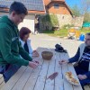vucji-ogrizek