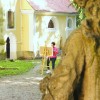zveza-kulturnih-drustev-brezice