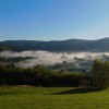 vucji-ogrizek