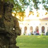 zveza-kulturnih-drustev-brezice
