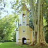 zveza-kulturnih-drustev-brezice