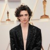 timothe chalamet 1.jpg
