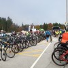 primoz-roglic