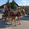 pump-park-veliki-gaber
