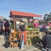 predstavitev-turisticnih-drustev-obcine-brezice-2025, zupanov-golaz-brezice-2025