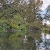 18-kostanjev-spust-po-muri, spust-po-muri, drustvo-colnarjev-doklezovje