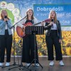 trznica-ivancna-gorica