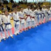 karate-klub-mirna-pec