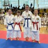 karate-klub-mirna-pec