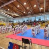 kbv-sevnica