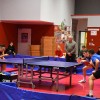 namizni-tenis, kema-murexin, zntk-maribor