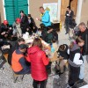 praznik-topliskega-jabolka-2025, 10-drzavno-ocenjevanje-jabolcnih-zavitkov