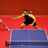 namizni-tenis, kema-murexin, zntk-maribor