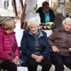praznik-topliskega-jabolka-2025, 10-drzavno-ocenjevanje-jabolcnih-zavitkov