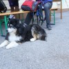 pohod-po-sromeljski-poti-vina-in-sonca-2025, anica-kranjcic, turisticno-drustvo-sromlje