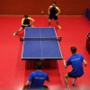 namizni-tenis, kema-murexin, zntk-maribor