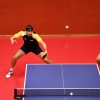 namizni-tenis, kema-murexin, zntk-maribor