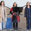 praznik-topliskega-jabolka-2025, 10-drzavno-ocenjevanje-jabolcnih-zavitkov