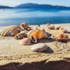 simbolična, školjke, školjka, plaža, morje, zaklad
