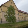 prireditev-ob-80-letnici-gimnazije-brezice, uros-skof, solstvo-in-solski-sistem