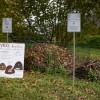 permafest, drustvo-za-permakulturo-slovenije, permakultura