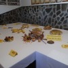 kozehatva, os-pisece