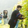 mv-vinogradništvo.jpg