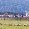 braslovce, letus, podgora, cesta