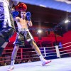boks_turnir_Celje_9_11_2025_foto_Nik_Jarh_77.jpg