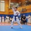 karate, turnir, franc-kotar, kbv-sevnica