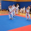 karate, turnir, franc-kotar, kbv-sevnica