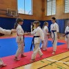 karate, turnir, franc-kotar, kbv-sevnica