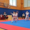 karate, turnir, franc-kotar, kbv-sevnica