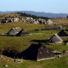 velika planina.JPG
