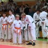 sveti-jurij, karate, 32.-mednarodni-odprti-karate-turnir-za-pokal-tromejnika, -4.-pokalni-turnir-s.k