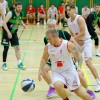 cg_kosarka_kk_ptuj_clani_2.jpg