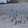 Rogla 2.jpg